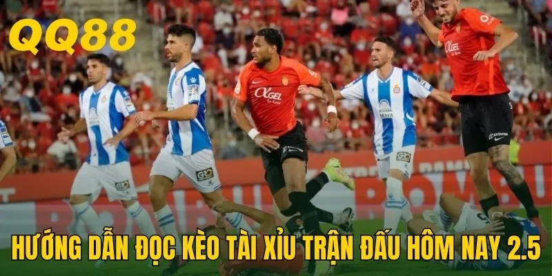 Hướng dẫn đọc tỷ lệ kèo Tài Xỉu trận đấu hôm nay 2.5